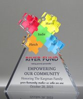 Picture of Acrylic Puzzle Award - Synergy Series