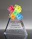 Picture of Acrylic Puzzle Award - Synergy Series