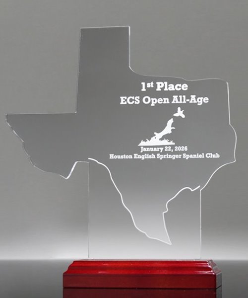 Picture of State of Texas Acrylic Award