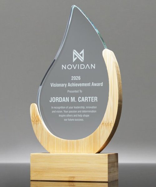 Picture of Eco Visionary Flame Award