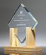 Picture of Eco Diamond Excellence Award