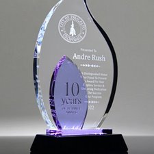 Picture for category Purple Crystal Awards