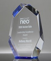 Picture of Cornerstone Diamond Award