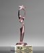 Picture of Star Achiever Pink Trophy