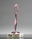 Picture of Star Achiever Pink Trophy