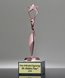 Picture of Reach for the Stars Pink Achievement Trophy