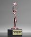 Picture of Reach for the Stars Pink Achievement Trophy
