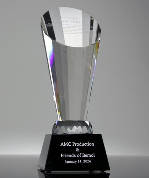 Picture of Spotlight Award