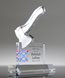 Picture of Acrylic Axe Award - Full Color