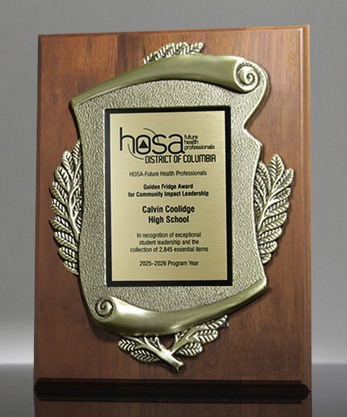 Picture of Service Recognition Award Plaque