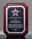 Picture of Police Officer Retirement Award Plaque
