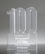 Picture of 100 Year Anniversary Award