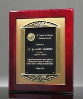 Picture of Iconic Cast Frame Award Plaque