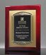 Picture of Iconic Bronze Casting Award Frame