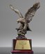 Picture of Eros Flight Eagle Trophy