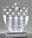 Picture of Service Excellence Acrylic Shield Award