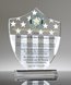 Picture of Service Excellence Acrylic Shield Award