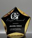 Picture of Luminary Gold Sable Star Award