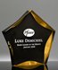 Picture of Luminary Gold Sable Star Award