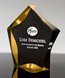Picture of Luminary Gold Sable Star Award