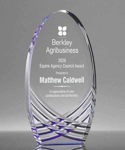 Picture of Contour Sapphire Oval Award