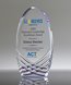 Picture of Contour Oval Full Color Award