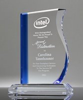 Picture of Crystal Surge Award