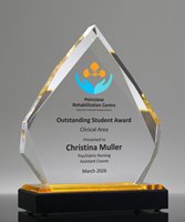 Picture of Diamond Impress Gold Full Color Award