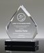 Picture of Diamond Impress Silver Acrylic Award
