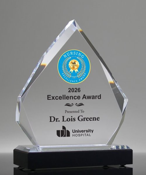 Picture of Diamond Impress Silver Full Color Award