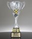 Picture of Apex Cup Trophy