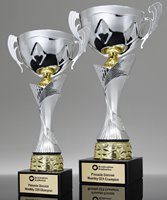 Picture of Apex Cup Trophy