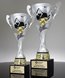 Picture of Apex Cup Trophy