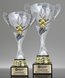 Picture of Apex Cup Trophy