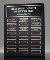 Picture of Employee Awards Plaque 24 Plates