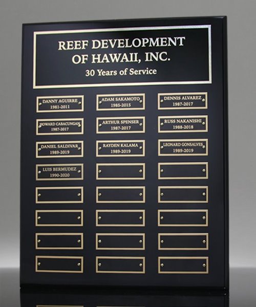 Picture of Employee Awards Plaque 24 Plates