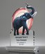 Picture of Elephant Legacy Award