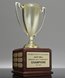 Picture of Perpetual Achievement Cup