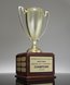 Picture of Perpetual Achievement Cup