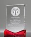 Picture of Signature Bow Tie Award - Ruby Base