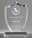Picture of Distinction Crystal Shield Award