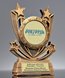 Picture of Twin Star Custom Insert Award