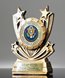 Picture of Twin Star Custom Insert Award