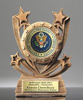 Picture of Twin Star Custom Insert Award