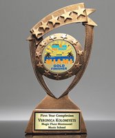 Picture of Star Banner Custom Insert Award