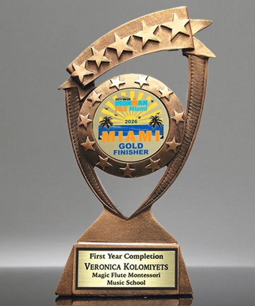 Picture of Star Banner Custom Insert Award