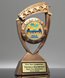 Picture of Star Banner Custom Insert Award