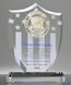 Picture of Distinguished Legacy Crystal Shield Award