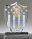 Picture of Distinguished Legacy Crystal Shield Award