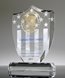 Picture of Distinguished Legacy Crystal Shield Award